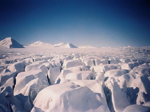 Арктика
